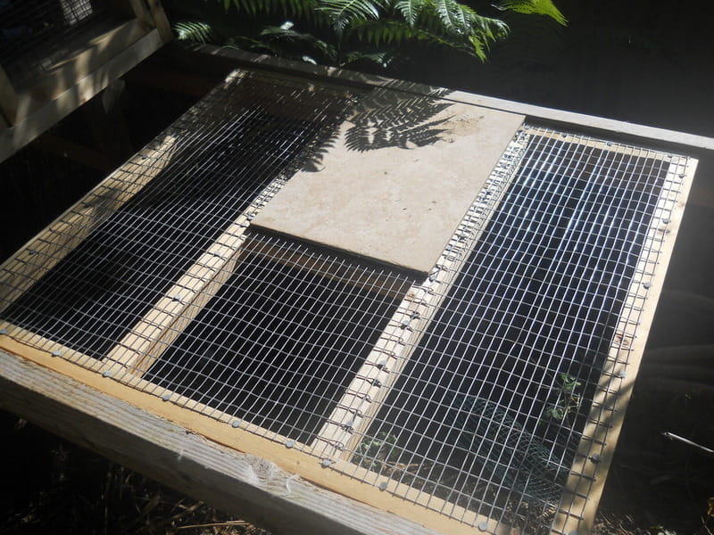 dropped nest area covered by a tile