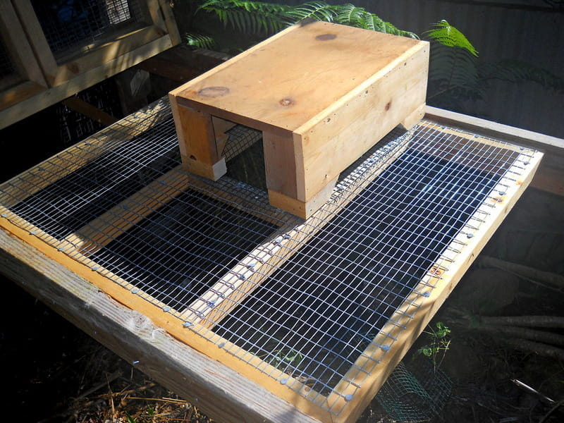 wood nest box over the dropped area