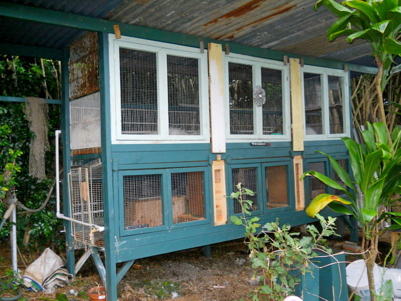 big hutch without the feeders installed