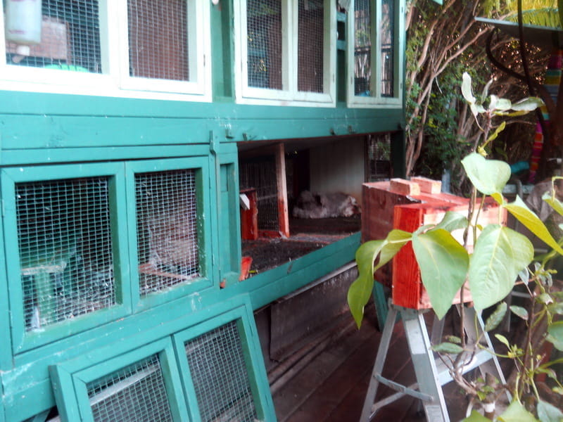 big hutch with the doors removed for cleaning